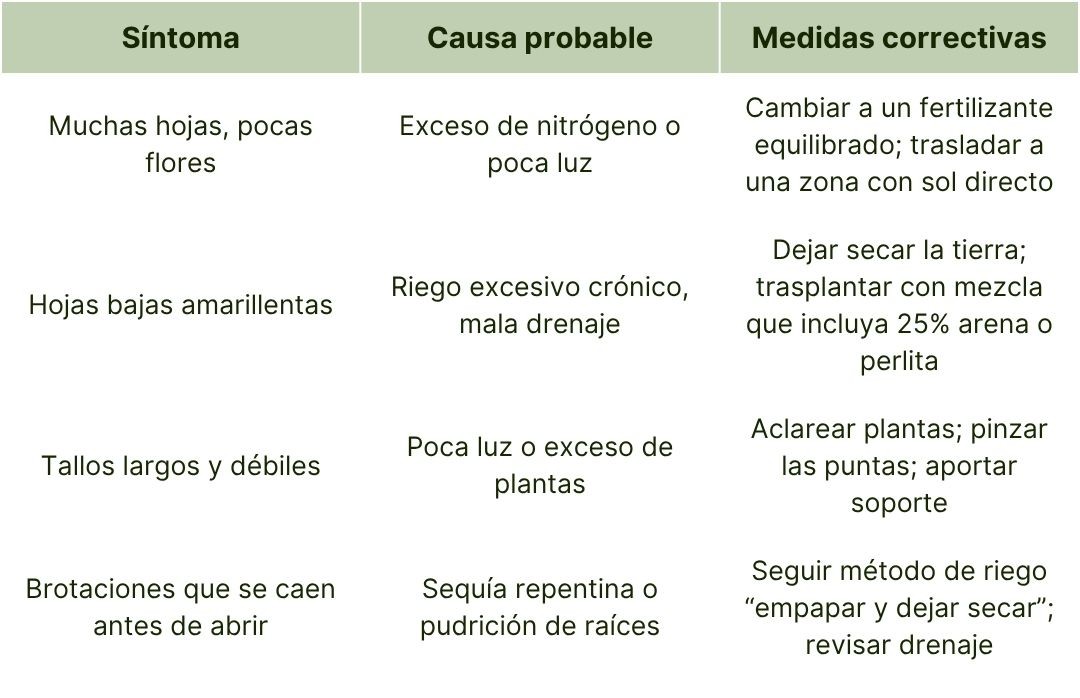Solución de problemas comunes con caléndulas-3.jpg